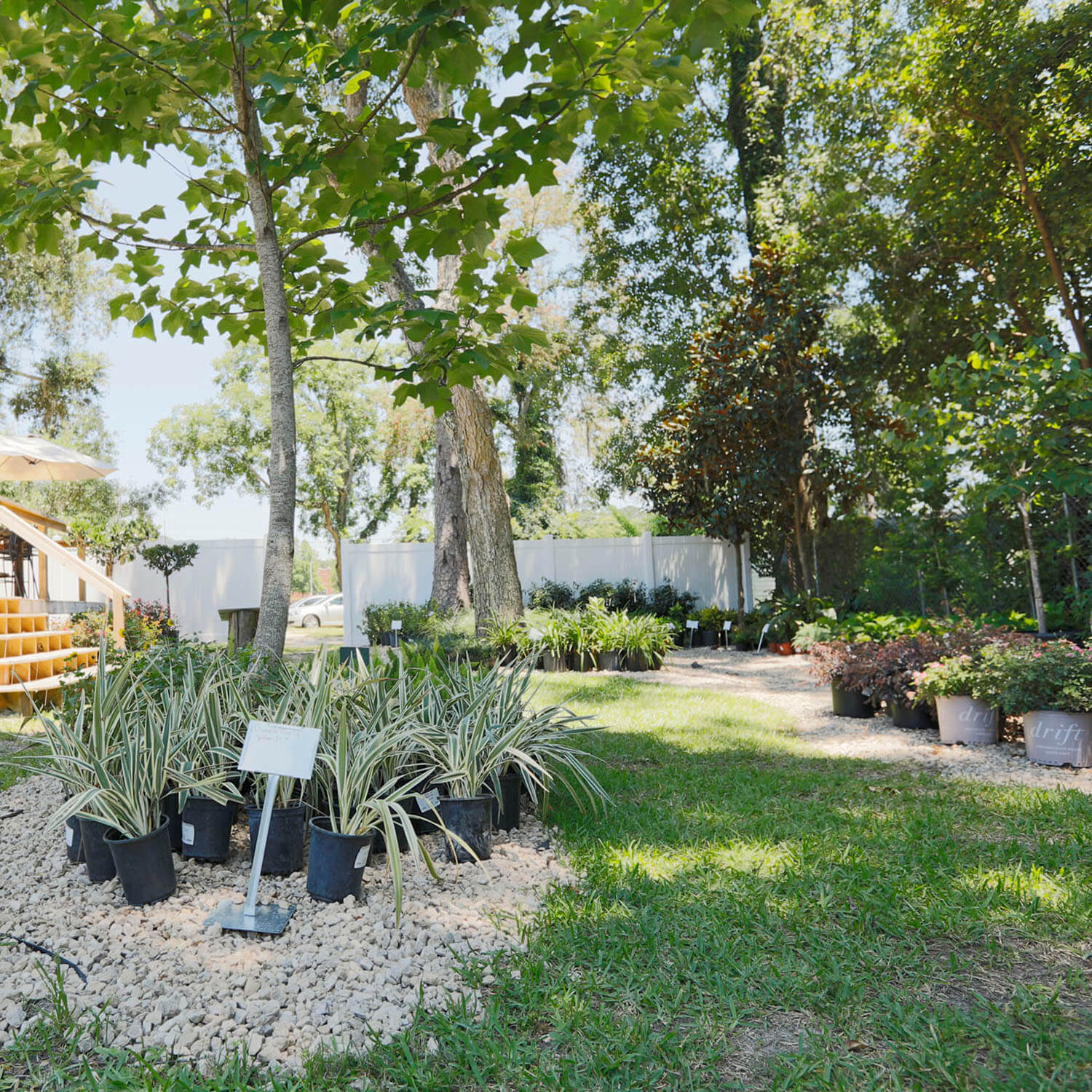 AAA Tree Experts Tree Service Tallahassee